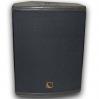 L'Acoustics 12XT Monitor