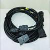 Lex Products Socapex 19M pin to 11 Ft. 6 Circuit Breakout