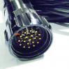 Lex Products Socapex 19M pin to 11 Ft. 6 Circuit Breakout